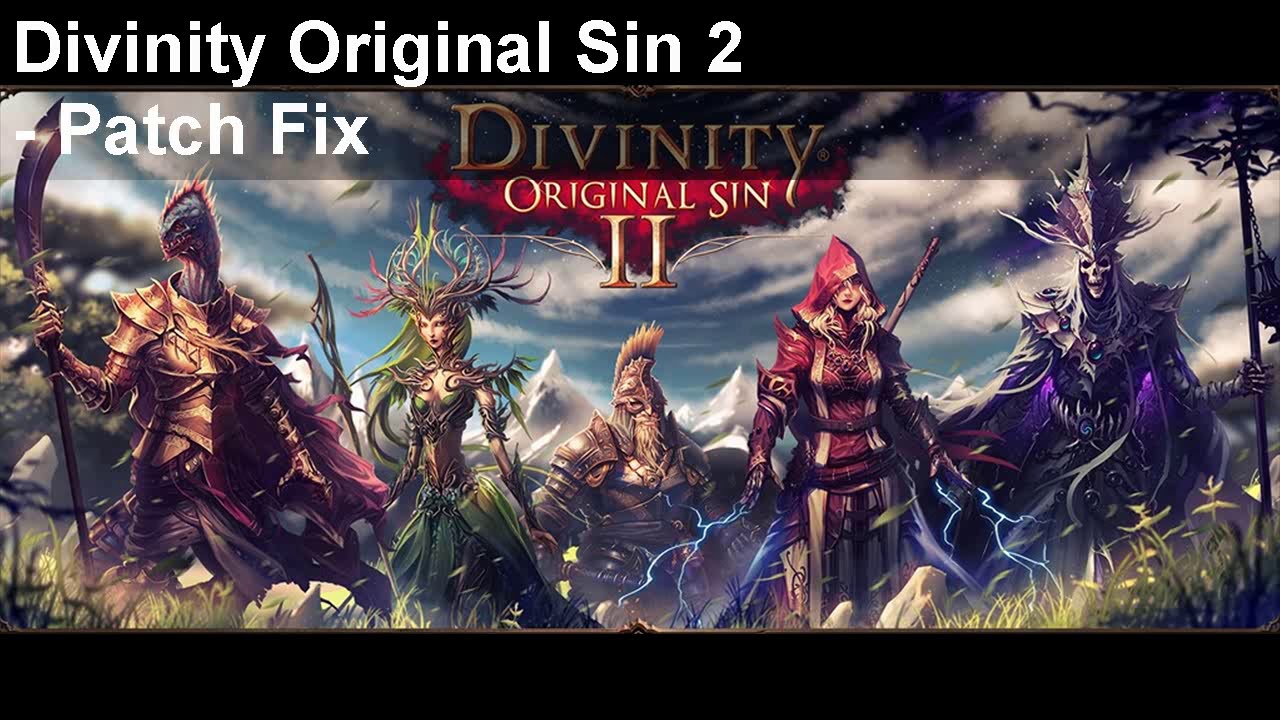 Divinity Original Sin Enhanced Edition Patches (GOG) crack free